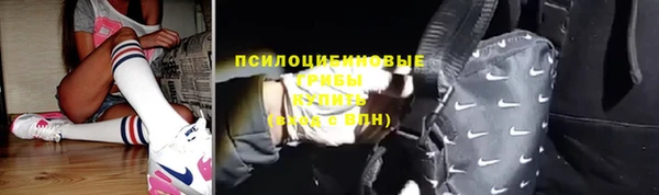 кокс Гусь-Хрустальный