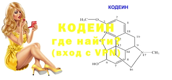 хмурый Дмитров