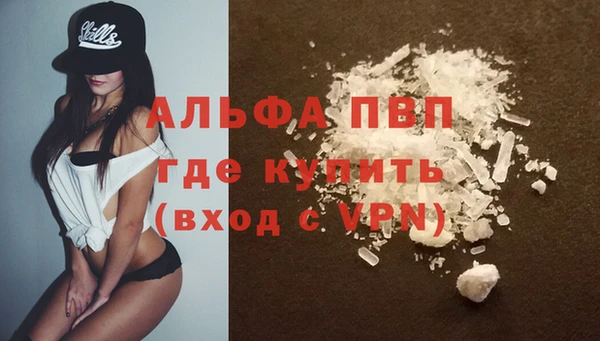хмурый Дмитров