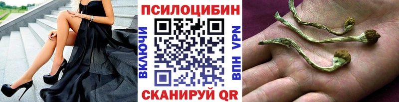 Галлюциногенные грибы прущие грибы  Канаш 